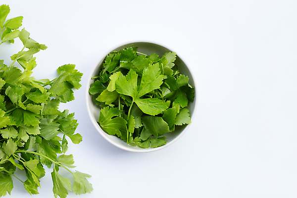 포토 JPG 해외이미지 그릇 백그라운드 잎 사람없음 신선 흰배경 유기농 담기 샐러리 해외포토 식물 식기 웰빙 채소 모션 흰색 파일형식 이미지허브