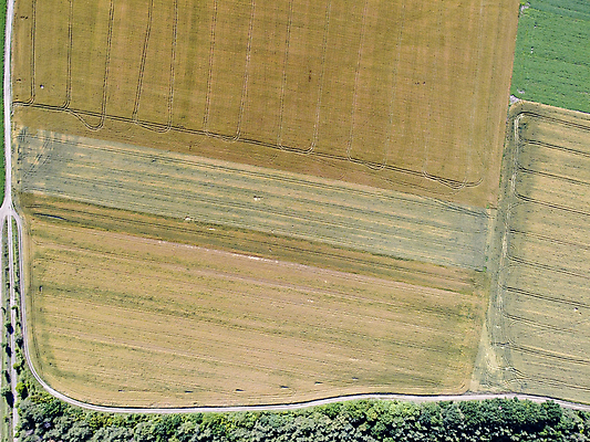포토 JPG 해외이미지 모양 식물 백그라운드 밭 농업 자연 안테나 파노라마 사람없음 야외 초록색 농작물 농장 농경지 노란색 수확 성장 시골 황금 땅 장면 내추럴 드론 조감도 수평선 세련 해외포토 산업 컬러 통신 촬영기법 생태계 파일형식 이미지허브