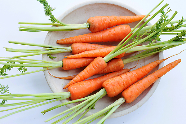 포토 JPG 해외이미지 그릇 실내 사람없음 하이앵글 당근 흰배경 해외포토 식기 뷰포인트 백그라운드 뿌리채소 내부 흰색 파일형식 이미지허브