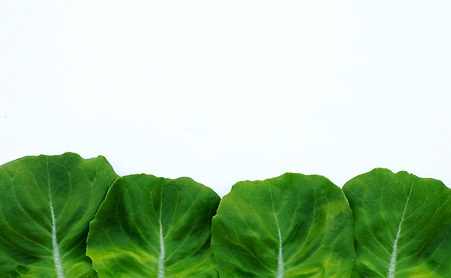 포토 JPG 해외이미지 백그라운드 사람없음 신선 흰배경 유기농 카피스페이스 해외포토 웰빙 공백 흰색 파일형식 이미지허브