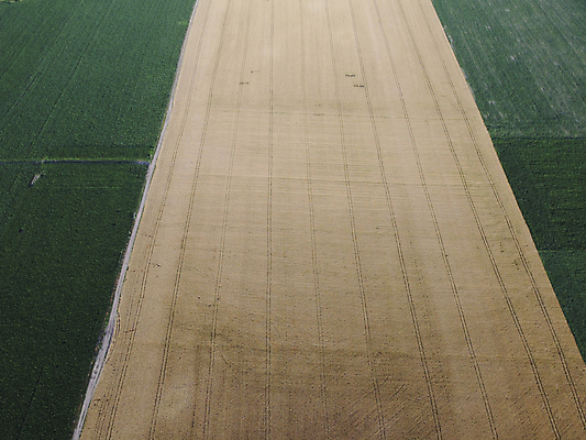 포토 JPG 해외이미지 모양 식물 백그라운드 밭 농업 자연 안테나 파노라마 사람없음 야외 초록색 농작물 농장 농경지 노란색 수확 성장 시골 황금 땅 장면 내추럴 드론 조감도 수평선 세련 해외포토 산업 컬러 통신 촬영기법 생태계 파일형식 이미지허브