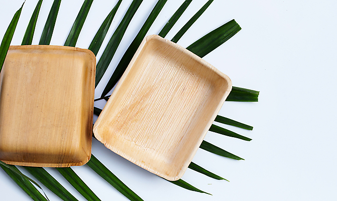 포토 JPG 해외이미지 실내 사람없음 흰배경 야자수잎 친환경제품 야자수잎접시 해외포토 접시 백그라운드 잎 내부 흰색 친환경 파일형식 이미지허브