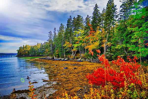 포토 JPG 해외이미지 나무 계절 공원 호수 섬 여행 백그라운드 잎 오렌지 자연 하늘 잉글랜드 새로움 산 사람없음 야외 빨간색 초록색 물 파란색 컬러풀 반사 노란색 연못 숲 전국 해외포토 자연요소 식물 공공시설 컬러 컨셉 과일 영국 생태계 파일형식 이미지허브