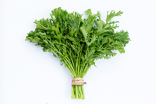 포토 JPG 해외이미지 잎 실내 사람없음 하이앵글 묶기 노끈 청겨자 해외포토 식물 줄 뷰포인트 채소 모션 내부 파일형식 이미지허브