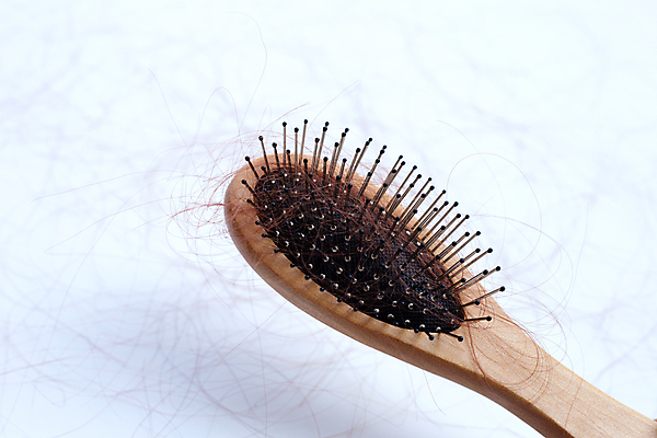 포토 JPG 해외이미지 실내 사람없음 머리카락 머리빗 오브젝트 흰배경 탈모 숱 해외포토 백그라운드 내부 머리 흰색 미용용품 증상 파일형식 이미지허브