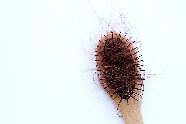 포토 JPG 해외이미지 실내 사람없음 머리카락 머리빗 오브젝트 흰배경 탈모 숱 해외포토 백그라운드 내부 머리 흰색 미용용품 증상 파일형식 이미지허브