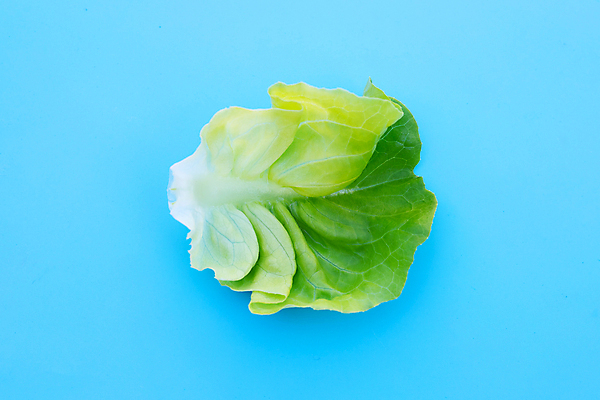 포토 JPG 해외이미지 백그라운드 사람없음 신선 상추 유기농 파란배경 해외포토 웰빙 채소 파란색 파일형식 이미지허브
