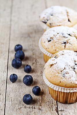 포토 JPG 해외이미지 디저트 사람없음 블루베리 머핀 해외포토 음식 빵 과일 파일형식 이미지허브