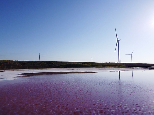 포토 JPG 해외이미지 호수 분홍색 백그라운드 컨셉 농업 자연 바람 미래 휴식 건강 사람없음 초록색 물 파란색 세트 농장 환경 탑 힘 산책 재활용 사막 풍차 발전기 에너지 흰색 역 프로펠러 세대 유지 혁명 개발 바이오 카피스페이스 해외포토 자연요소 건축물 산업 컬러 교통시설 날씨 공백 발전소 친환경 생태계 파일형식 이미지허브
