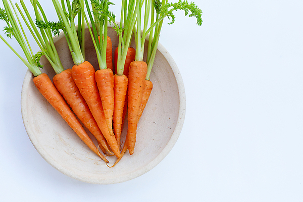 포토 JPG 해외이미지 그릇 실내 사람없음 하이앵글 당근 흰배경 카피스페이스 해외포토 식기 뷰포인트 백그라운드 뿌리채소 내부 공백 흰색 파일형식 이미지허브