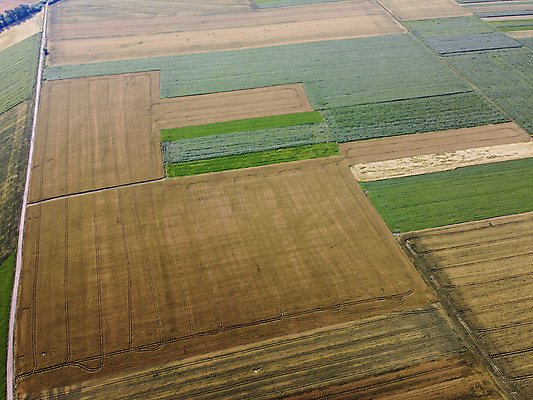 포토 JPG 해외이미지 모양 식물 백그라운드 밭 농업 자연 안테나 파노라마 사람없음 야외 초록색 농작물 농장 농경지 노란색 수확 성장 시골 황금 땅 장면 내추럴 드론 조감도 수평선 세련 해외포토 산업 컬러 통신 촬영기법 생태계 파일형식 이미지허브