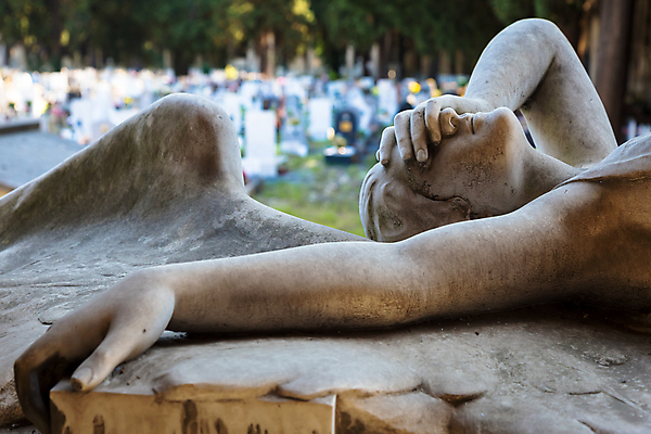 포토 JPG 해외이미지 기독교 종교 얼굴 조각 날개 건축양식 천사 미술 사람없음 장식 조각상 평화 희망 수확 골동품 바위 기도 죽음 무덤 영혼 비석 심볼 묘사 대리석 신성 천국 기념물 천연기념물 장례 고딕 신앙심 옛날 장례식 추모 해외포토 건축 감정 컨셉 농업 재료 문화예술 신체부위 조형물 돌_바위 파일형식 이미지허브