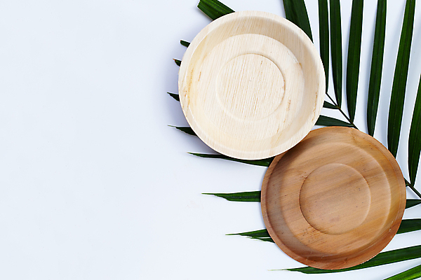 포토 JPG 해외이미지 실내 사람없음 흰배경 야자수잎 친환경제품 야자수잎접시 해외포토 접시 백그라운드 잎 내부 흰색 친환경 파일형식 이미지허브