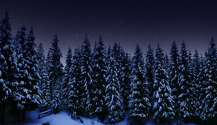 포토 JPG 해외이미지 나무 별 백그라운드 겨울 자연 하늘 파노라마 사람없음 울타리 어둠 황혼 야간 숲 침엽수 1월 생태학 가문비나무 해외포토 자연요소 식물 계절 교육 촬영기법 담장 일몰 날짜 생태계 파일형식 이미지허브