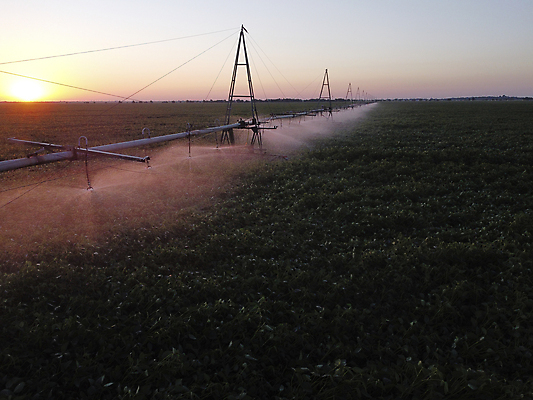 포토 JPG 해외이미지 식물 산업 음식 밭 농업 채소 자연 하늘 아침 사람없음 야외 초록색 물 파란색 농작물 농장 기계 장비 젖음 흐름 안개 성장 시골 신선 떨어짐 수분 땅 분무기 시스템 펌프 대두 땅바닥 밭일 스프링쿨러 자동 공급 해외포토 주간 자연요소 컬러 컨셉 날씨 바닥 생태계 파일형식 이미지허브