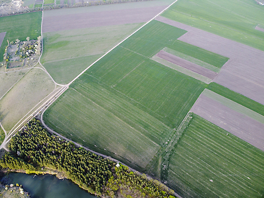 포토 JPG 해외이미지 모양 식물 백그라운드 밭 농업 자연 안테나 파노라마 사람없음 야외 초록색 농작물 농장 농경지 노란색 수확 성장 시골 황금 땅 장면 내추럴 드론 조감도 수평선 세련 해외포토 산업 컬러 통신 촬영기법 생태계 파일형식 이미지허브