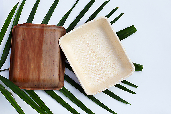 포토 JPG 해외이미지 실내 사람없음 흰배경 야자수잎 친환경제품 야자수잎접시 해외포토 접시 백그라운드 잎 내부 흰색 친환경 파일형식 이미지허브