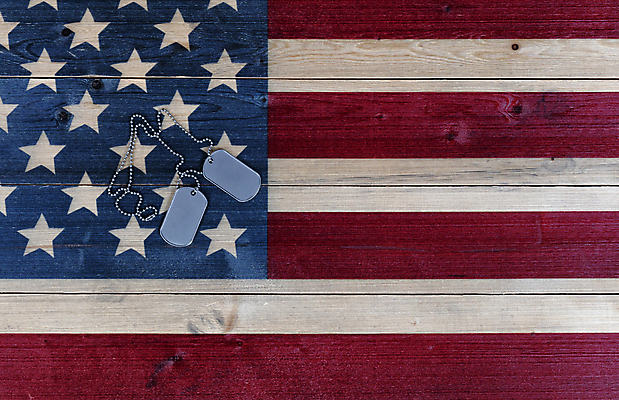 포토 JPG 해외이미지 백그라운드 휴가 기념 사람없음 목재 꼬리표 미국 깃발 4 수비 역사 개 투표 기념물 명예 7월 독립 헌법 카피스페이스 존경 해외포토 나무 북아메리카 재료 포유류 모션 숫자 라벨 공백 날짜 선거 법 파일형식 이미지허브