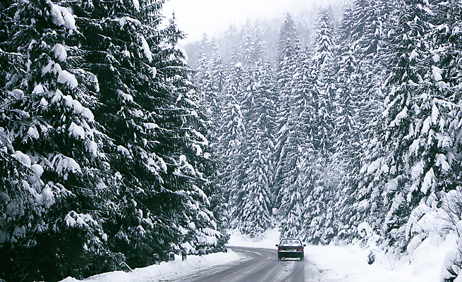 포토 JPG 해외이미지 나무 도로 겨울 자동차 자연 사람없음 야외 눈 숲 가로수 해외포토 자연요소 식물 계절 길 육상교통 교통시설 날씨 생태계 파일형식 이미지허브