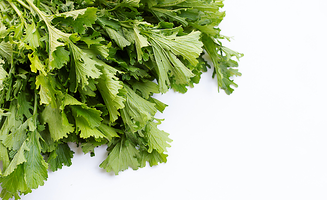 포토 JPG 해외이미지 잎 실내 사람없음 흰배경 청겨자 해외포토 식물 백그라운드 채소 내부 흰색 파일형식 이미지허브