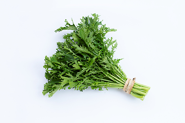 포토 JPG 해외이미지 잎 실내 사람없음 하이앵글 묶기 흰배경 노끈 청겨자 해외포토 식물 줄 뷰포인트 백그라운드 채소 모션 내부 흰색 파일형식 이미지허브