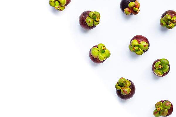 포토 JPG 해외이미지 실내 사람없음 여러개 열대과일 흰배경 망고스틴 카피스페이스 해외포토 다수 백그라운드 과일 내부 공백 흰색 파일형식 이미지허브