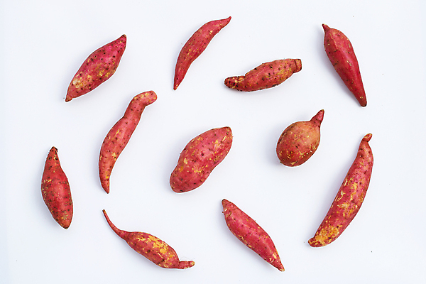 포토 JPG 해외이미지 실내 사람없음 여러개 흰배경 고구마 해외포토 다수 백그라운드 뿌리채소 내부 흰색 파일형식 이미지허브