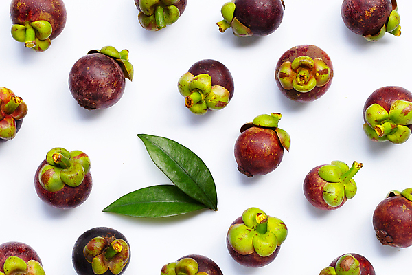 포토 JPG 해외이미지 잎 패턴 실내 사람없음 여러개 열대과일 흰배경 망고스틴 해외포토 식물 다수 백그라운드 무늬 과일 내부 흰색 파일형식 이미지허브