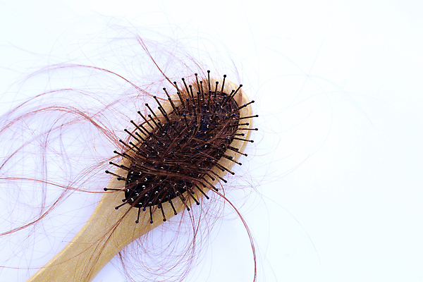 포토 JPG 해외이미지 실내 사람없음 머리카락 머리빗 오브젝트 흰배경 탈모 숱 해외포토 백그라운드 내부 머리 흰색 미용용품 증상 파일형식 이미지허브