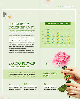 PSD 템플릿 표지디자인 북디자인 손 출판디자인 꽃 행복 내지 리플렛 2단접지 북커버 그래프 들기 팜플렛 신체부위 초록색 축제 봄 카네이션 이미지템플릿 식물 계절 감정 컬러 모션 사람 파일형식