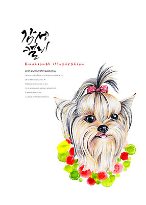 PSD 동물 한마리 꽃 리본 얼굴 일러스트 캘리그라피 붓터치 따뜻함 사람없음 귀여움 강아지 요크셔테리어 번짐 감성 국내일러스트 식물 1 컨셉 신체부위 반려동물 개 테리어 파일형식 효과