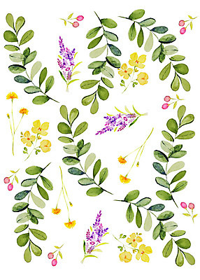 PSD 식물 꽃 잎 패턴 일러스트 붓터치 수채화 따뜻함 사람없음 컬러풀 화려 감성 플라워패턴 국내일러스트 컬러 컨셉 무늬 파일형식