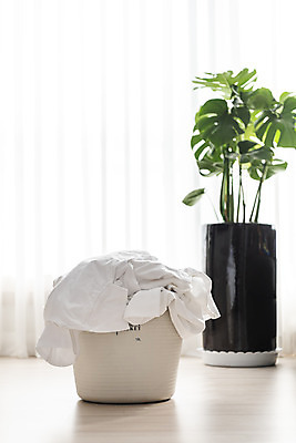 포토 JPG 식물 화분 가사 실내 사람없음 깨끗함 청결 빨래 빨래바구니 빨랫감 세탁용품 국내포토 생활용품 컨셉 내부 바구니 위생 파일형식