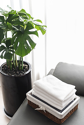 포토 JPG 식물 화분 가사 실내 사람없음 소파 수건 바구니 깨끗함 여러개 청결 빨래 빨래개기 세탁용품 국내포토 생활용품 다수 컨셉 의자 모션 내부 위생용품 위생 파일형식