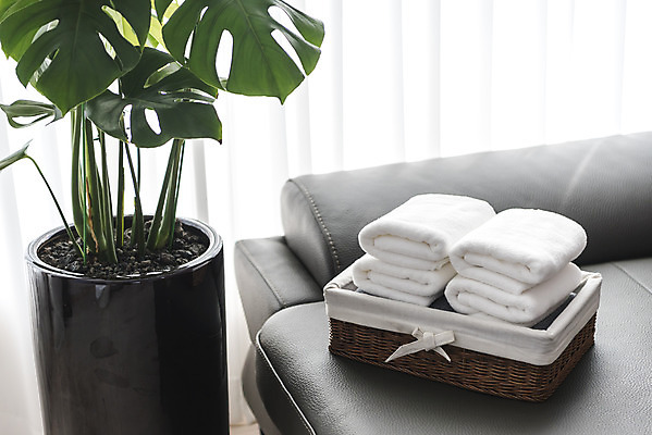 포토 JPG 식물 화분 가사 실내 사람없음 소파 수건 바구니 깨끗함 여러개 청결 빨래 빨래개기 세탁용품 국내포토 생활용품 다수 컨셉 의자 모션 내부 위생용품 위생 파일형식