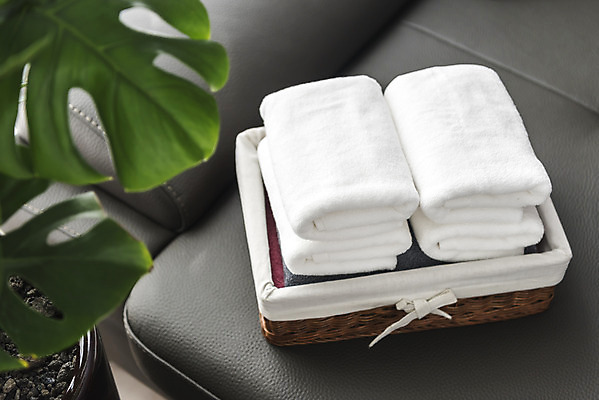 포토 JPG 식물 화분 가사 실내 사람없음 소파 수건 바구니 깨끗함 여러개 청결 빨래 빨래개기 세탁용품 국내포토 생활용품 다수 컨셉 의자 모션 내부 위생용품 위생 파일형식