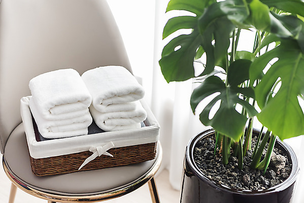 포토 JPG 식물 손 여자 화분 40대 중년 가사 의자 실내 사람없음 신체부위 수건 바구니 깨끗함 여러개 청결 한국인 빨래 주부 빨래개기 세탁용품 국내포토 가구 생활용품 다수 컨셉 모션 사람 동양인 성인 내부 위생용품 위생 파일형식