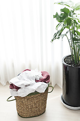 포토 JPG 식물 화분 가사 실내 사람없음 깨끗함 청결 빨래 빨래바구니 빨랫감 세탁용품 국내포토 생활용품 컨셉 내부 바구니 위생 파일형식