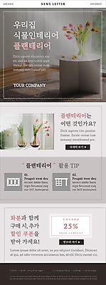 PSD 식물 템플릿 꽃 ZIP 화분 웹템플릿 탁자 프레임 실내 사람없음 생활 장식 인테리어 꽃병 회색 튤립 커튼 창가 쿠폰 뉴스레터 할인쿠폰 플랜테리어 이미지템플릿 디자인 컬러 가구 창문 내부 파일형식