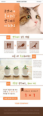 PSD 식물 템플릿 한마리 응시 ZIP 화분 음식 웹템플릿 자연 사람없음 주황색 고양이 모종삽 삽 분무기 뉴스레터 기르기 무농약 반려 원플러스원 덤 이미지템플릿 1 시선 컬러 포유류 이벤트 반려동물 생태계 돌봄 파일형식