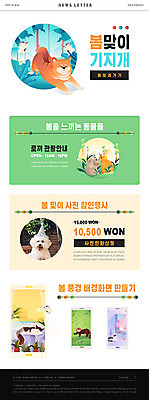 PSD 동물 템플릿 ZIP 반려견 웹템플릿 나비 여러마리 이벤트 사람없음 반려동물 세일 고양이 봄 토끼 강아지 기지개 뉴스레터 반려 봄맞이 이미지템플릿 계절 다수 곤충 포유류 모션 개 파일형식