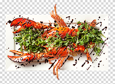 편집이미지 접시 음식 서양음식 사람없음 샐러드 소스 구이 PNG 랍스터구이 편집소스 식기 양념 파일형식