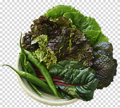 편집이미지 그릇 접시 음식 채소 고추 사람없음 상추 쌈 PNG 쌈채소 편집소스 향토음식 식기 파일형식