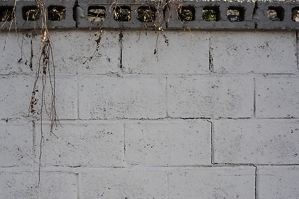 포토 JPG 주간 백그라운드 무늬 패턴 벽돌 근접촬영 사람없음 야외 회색 나뭇가지 질감 돌벽 스톤 돌재질 국내포토 자연요소 나무 벽 뷰포인트 컬러 재질 돌_바위 파일형식