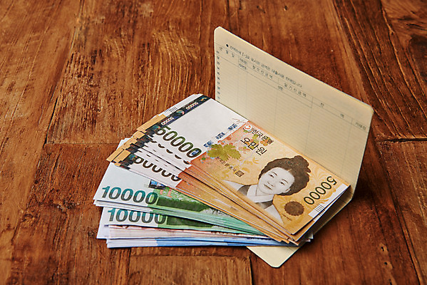 포토 백그라운드 컨셉 돈 비즈니스 실내 내부 금융 경제 재산 파일형식 법정기념일 지폐 통장 JPG 스튜디오촬영 사람없음 오브젝트 낭비 적금 저축 재테크 투자 금융의날 나무배경 국내포토