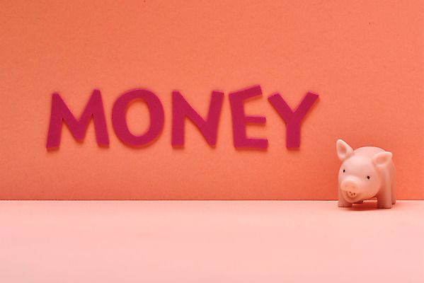 포토 JPG 스튜디오촬영 영어 분홍색 돈 실내 사람없음 금융 단어 미니어처 저축 돼지 재테크 오브젝트 투자 낭비 적금 금융의날 국내포토 문자 컬러 컨셉 비즈니스 포유류 내부 경제 모형 재산 파일형식 법정기념일