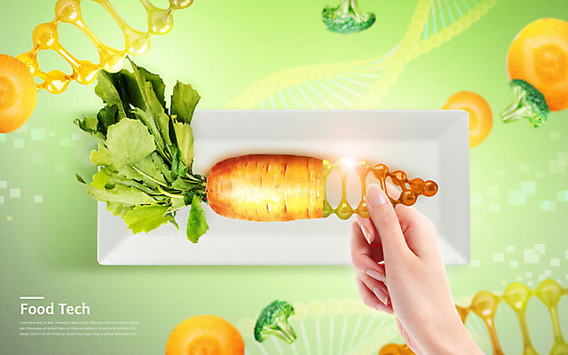 PSD 편집이미지 그릇 접시 손 미래 한손 기술 신체부위 초록색 당근 DNA 브로콜리 푸드테크 이미지편집 식기 컬러 컨셉 채소 뿌리채소 IT 사람 생명공학 파일형식 4차산업