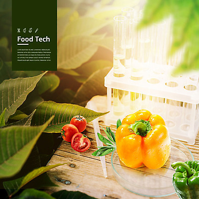 PSD 편집이미지 잎 토마토 채소 방울토마토 미래 피망 파프리카 기술 실험기구 실험 사람없음 초록색 컬러풀 비커 실린더 푸드테크 이미지편집 식물 컬러 과학 컨셉 IT 파일형식 4차산업