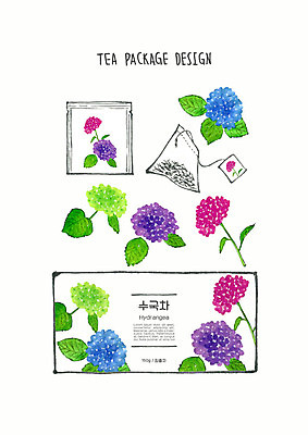 PSD 디자인 꽃 잎 일러스트 붓터치 수채화 사람없음 컬러풀 차 번짐 패키지 수국 티백 꽃차 국내일러스트 식물 음료 컬러 차_음료 파일형식 효과