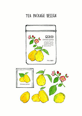 PSD 디자인 열매 꽃 잎 과일 일러스트 붓터치 수채화 사람없음 컬러풀 노란색 차 번짐 모과 패키지 티백 모과차 과일차 국내일러스트 식물 음료 컬러 차_음료 파일형식 효과